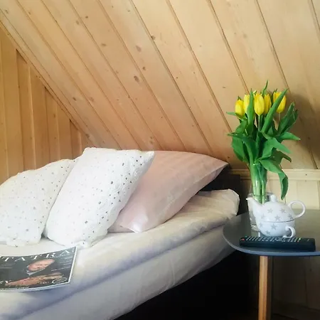 U Haliny - Blisko Term & Goracego Potoku