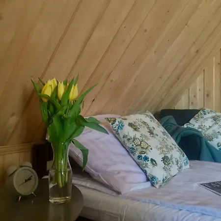 U Haliny - Blisko Term & Goracego Potoku