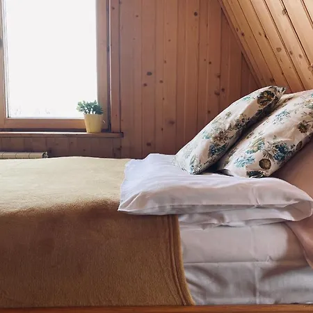 U Haliny - Blisko Term & Goracego Potoku Farma Szaflary