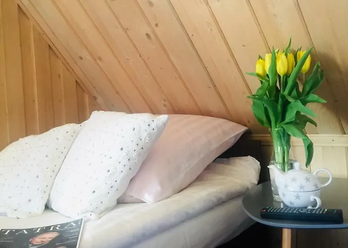 U Haliny - Blisko Term & Goracego Potoku