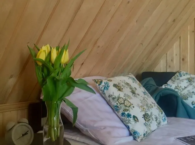 U Haliny - Blisko Term & Goracego Potoku